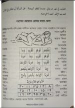 Shaitani Vibel | Bengali Jadu black magic passbook  शैतानी वाइबिल – बंगाल के काले जादू Book - Image 3
