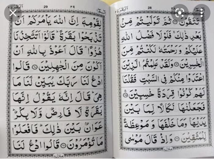 Quran para set 1 to 30 without Box 550 No 9 Line Pages Big Words - Image 3